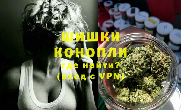 2c-b Бородино