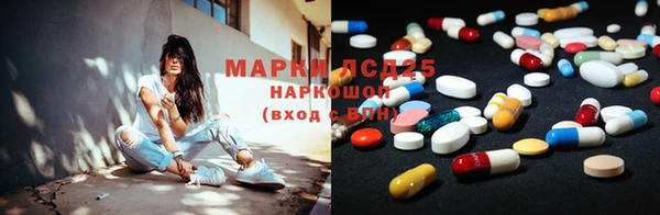 тгк Богданович