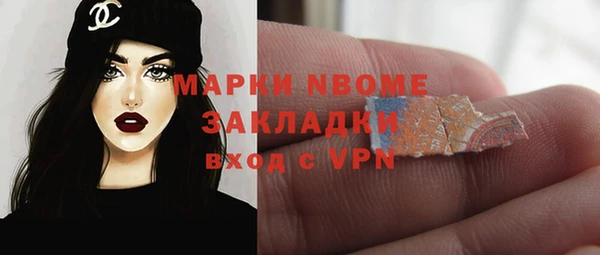 2c-b Бородино