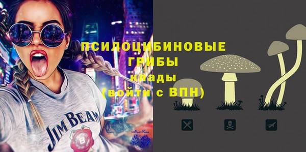 крисы Касимов